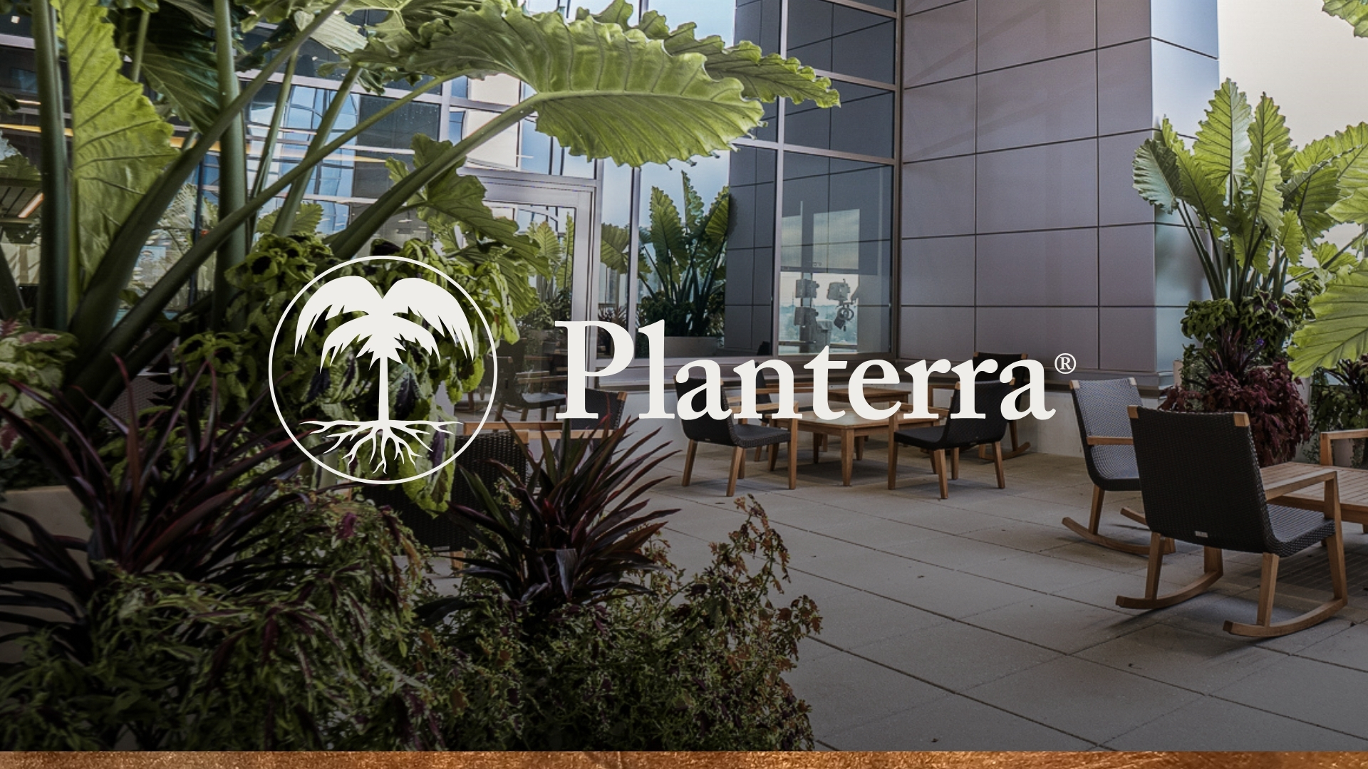 Planterra Blog Hero